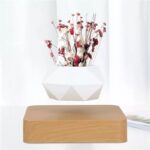 Pot de fleur en levitation 18