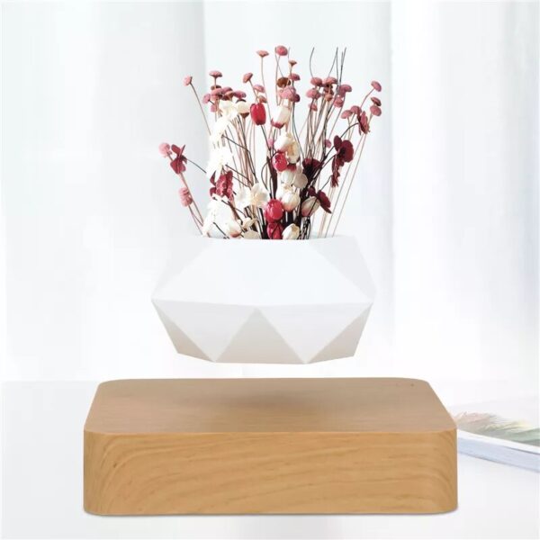 Pot de fleur en levitation 18