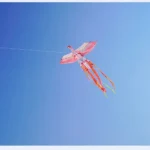 Cerf-volant Phoenix Bird avec enrouleur de ligne de 1.8m et banderoles de queue, jouets de sport de plage en plein air, prairie, enfants et adultes, 300m 16